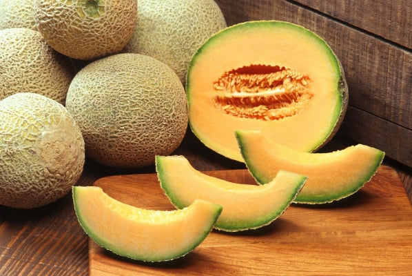 Musk Melon Cucumis Melo Var