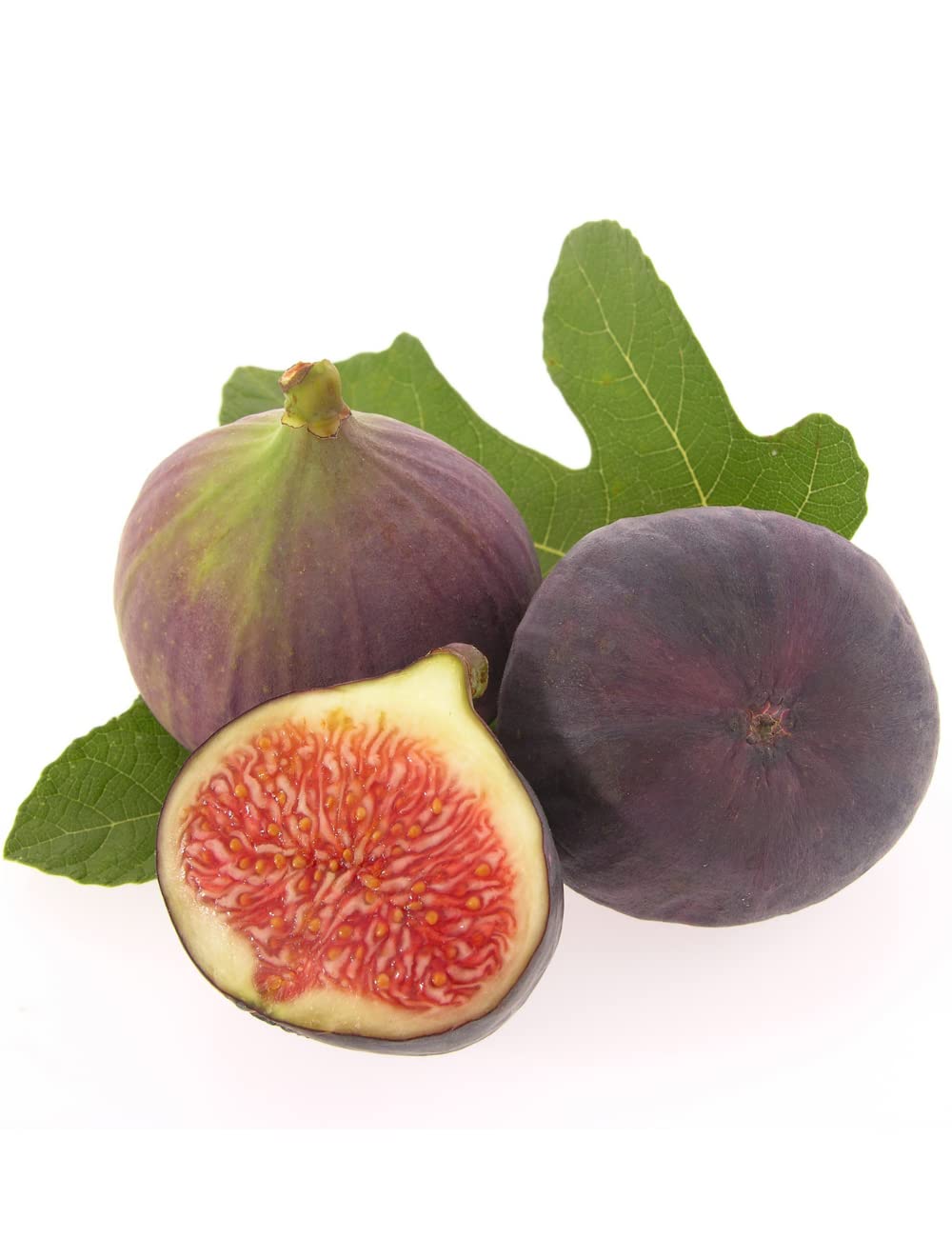 Fig Fruit Plants