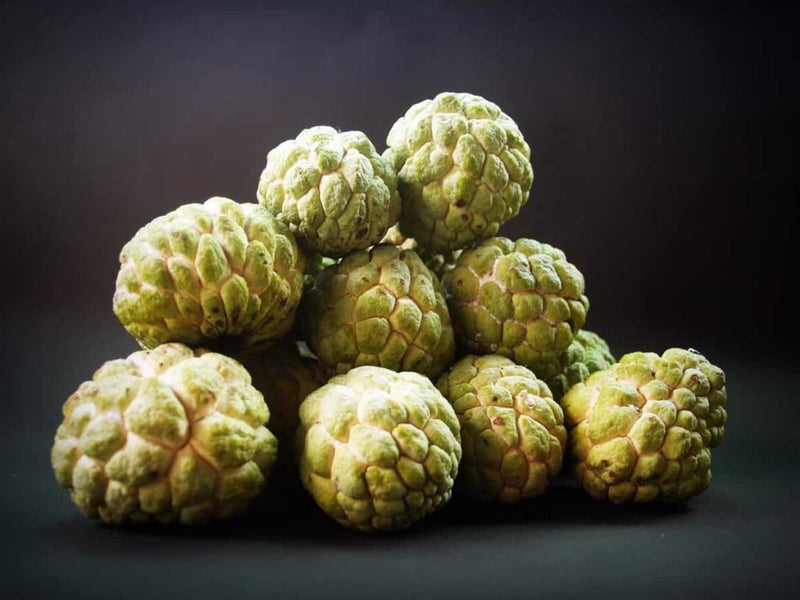 Custard Apple Annona Reticulata