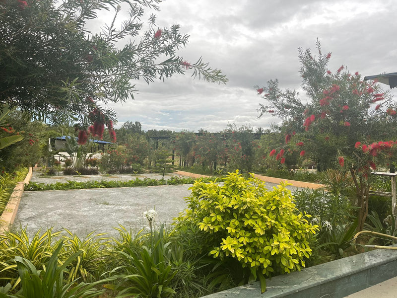 Kadiyam Rajasri Nursery 𝑪𝒐𝒓𝒑𝒐𝒓𝒂𝒕𝒆 𝑷𝒓𝒐𝒋𝒆𝒄𝒕𝒔