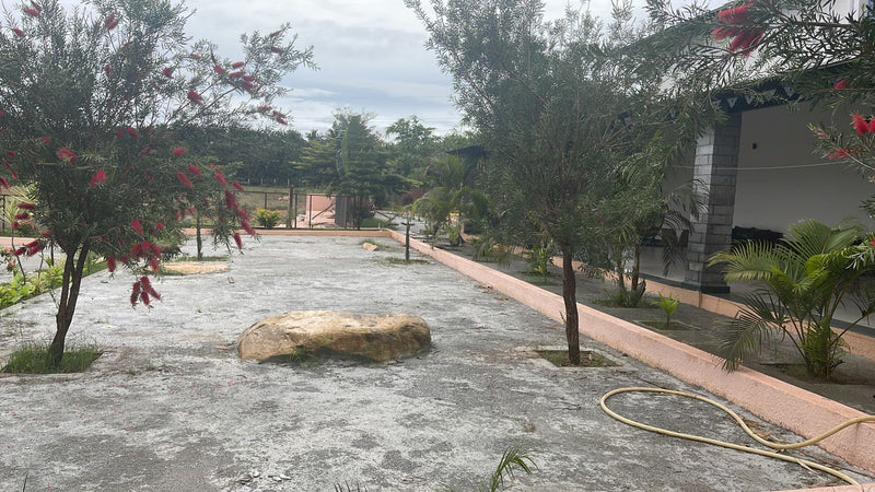 Kadiyam Rajasri Nursery 𝑪𝒐𝒓𝒑𝒐𝒓𝒂𝒕𝒆 𝑷𝒓𝒐𝒋𝒆𝒄𝒕𝒔