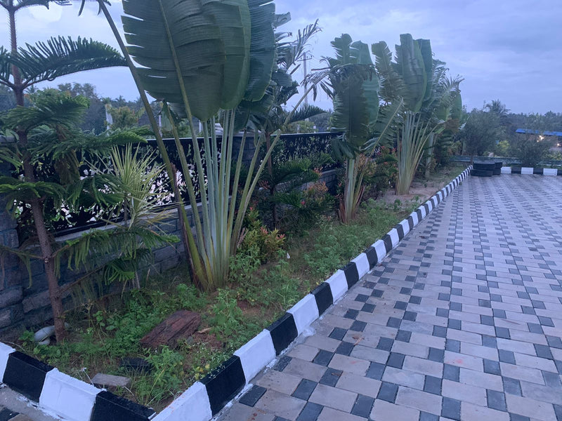 Kadiyam Rajasri Nursery 𝑪𝒐𝒓𝒑𝒐𝒓𝒂𝒕𝒆 𝑷𝒓𝒐𝒋𝒆𝒄𝒕𝒔