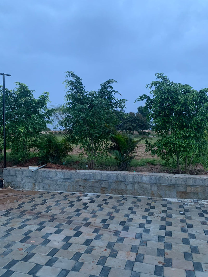 Kadiyam Rajasri Nursery 𝑪𝒐𝒓𝒑𝒐𝒓𝒂𝒕𝒆 𝑷𝒓𝒐𝒋𝒆𝒄𝒕𝒔