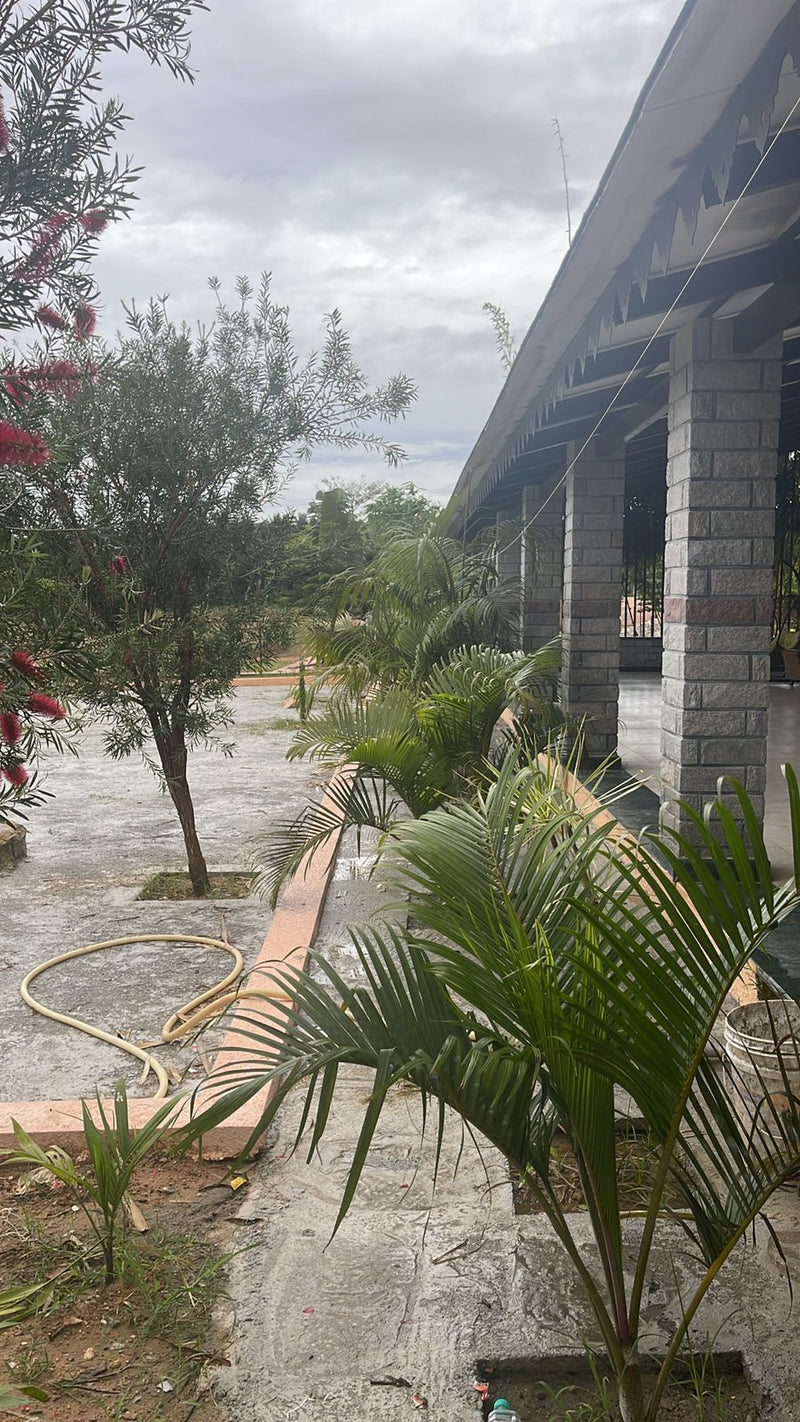 Kadiyam Rajasri Nursery 𝑪𝒐𝒓𝒑𝒐𝒓𝒂𝒕𝒆 𝑷𝒓𝒐𝒋𝒆𝒄𝒕𝒔