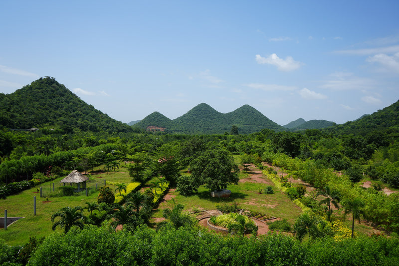 Kadiyam Rajasri Nursery 𝑳𝒂𝒏𝒅𝒔𝒄𝒂𝒑𝒆 𝑷𝒓𝒐𝒋𝒆𝒄𝒕𝒔