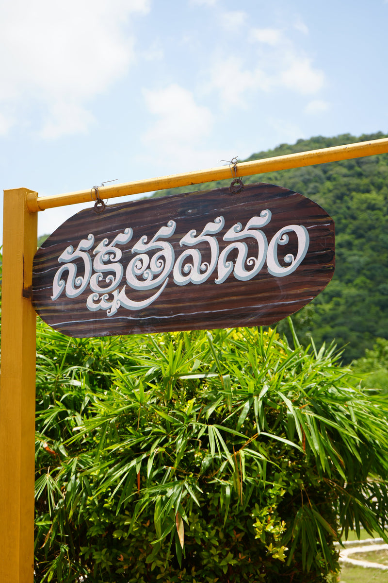 Kadiyam Rajasri Nursery 𝑳𝒂𝒏𝒅𝒔𝒄𝒂𝒑𝒆 𝑷𝒓𝒐𝒋𝒆𝒄𝒕𝒔