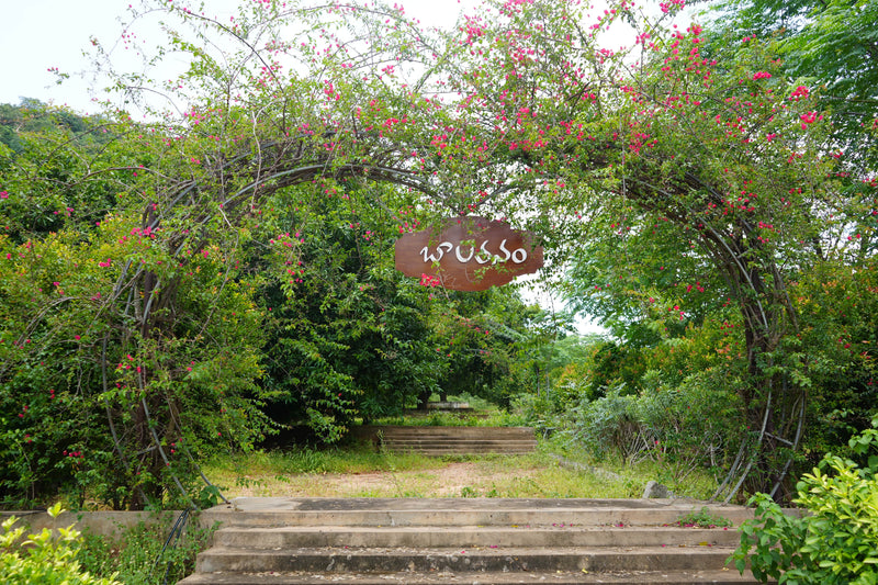 Kadiyam Rajasri Nursery 𝑳𝒂𝒏𝒅𝒔𝒄𝒂𝒑𝒆 𝑷𝒓𝒐𝒋𝒆𝒄𝒕𝒔