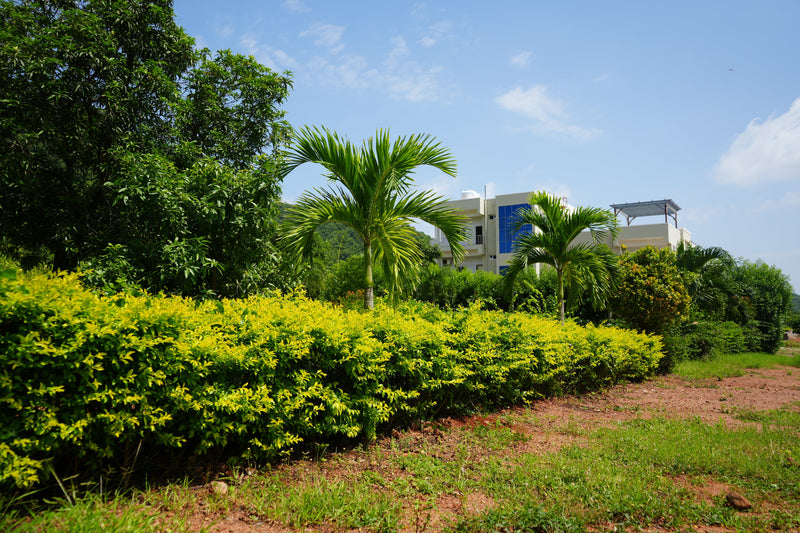 Kadiyam Rajasri Nursery 𝑳𝒂𝒏𝒅𝒔𝒄𝒂𝒑𝒆 𝑷𝒓𝒐𝒋𝒆𝒄𝒕𝒔