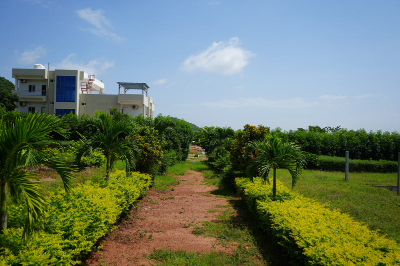 Kadiyam Rajasri Nursery 𝑳𝒂𝒏𝒅𝒔𝒄𝒂𝒑𝒆 𝑷𝒓𝒐𝒋𝒆𝒄𝒕𝒔