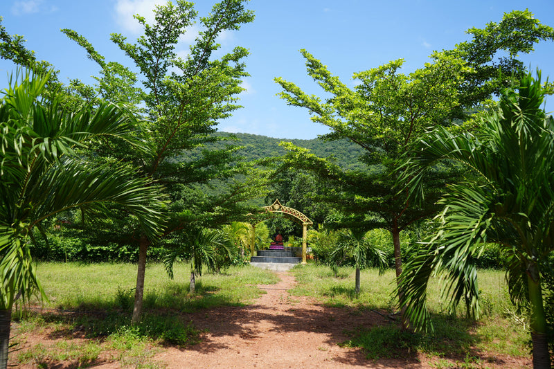 Kadiyam Rajasri Nursery 𝑳𝒂𝒏𝒅𝒔𝒄𝒂𝒑𝒆 𝑷𝒓𝒐𝒋𝒆𝒄𝒕𝒔