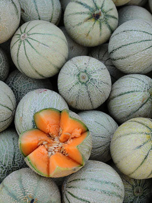 Musk Melon Cucumis Melo Var