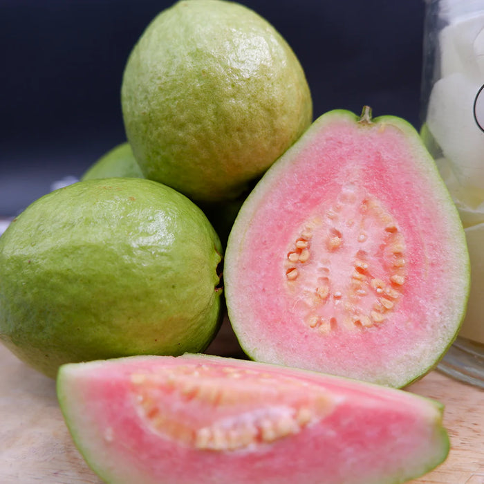 Guava / Psidium Guajava
