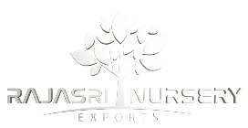 Rajasri Nursery Exports Logo - Wholesale Plant Supplier India